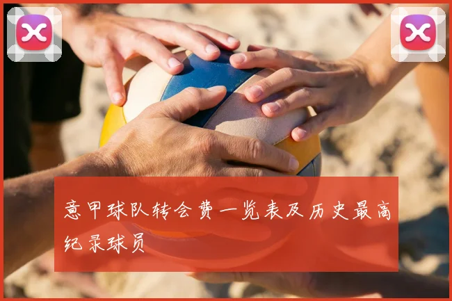 意甲球队转会费一览表及历史最高纪录球员