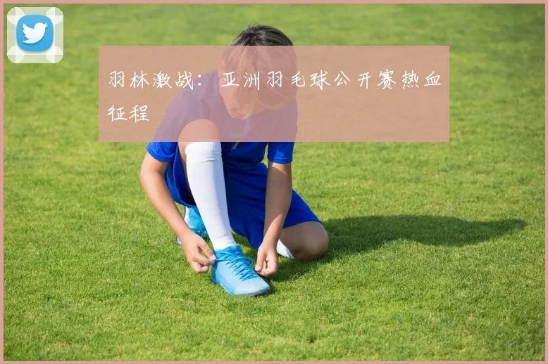 羽林激战:亚洲羽毛球公开赛热血征程