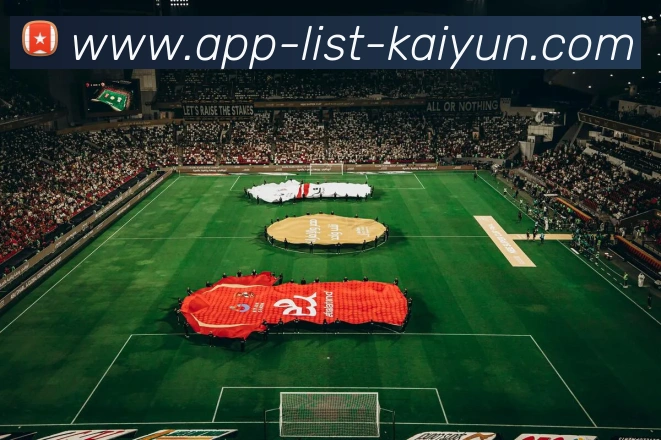 开云APP平台生态图